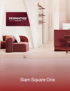 Dermatige Aesthetics คลินิกเสริมความงามใกล้ฉัน | Ultraformer III โปรโมชั่นหน้ายุง Prime