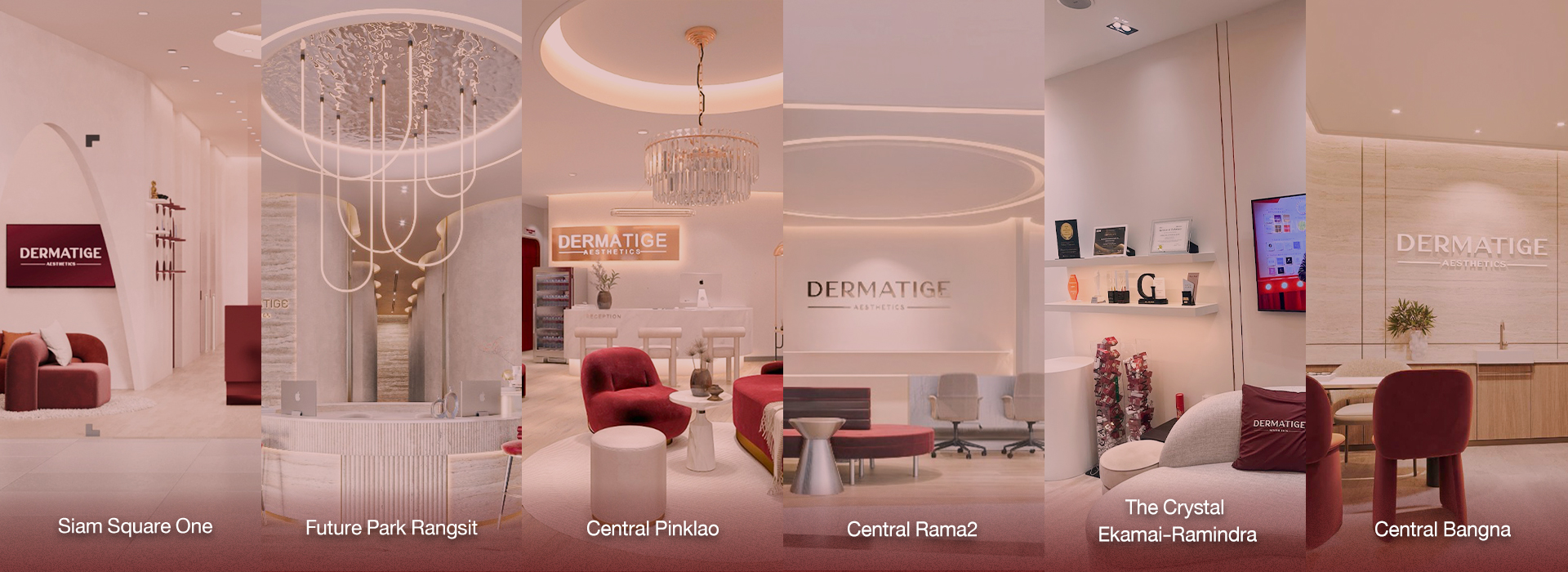 Cover-6สาขา-Dermatige